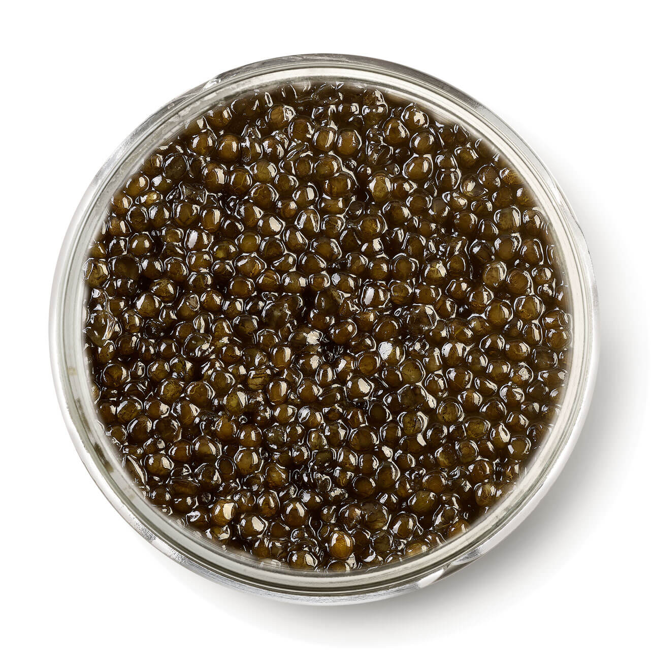 Caviaro